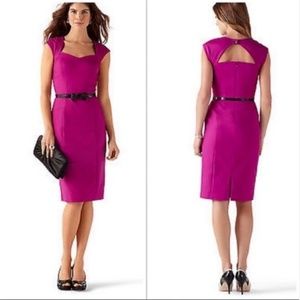 WHBM Very Berry Perfect Form Sheath Dress SZ 4